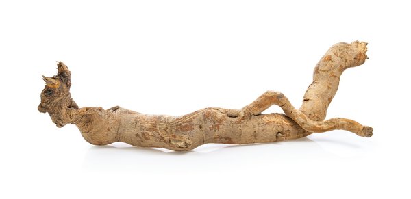 Tongkat ali : connaissez-vous les effets secondaires du produit ?