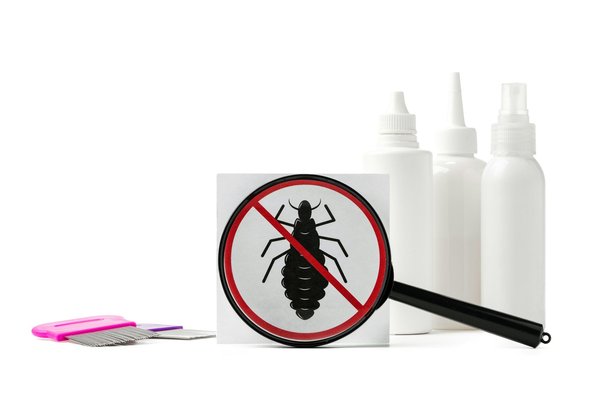 Poux experts - traitement anti poux naturel et 100% efficace garantis